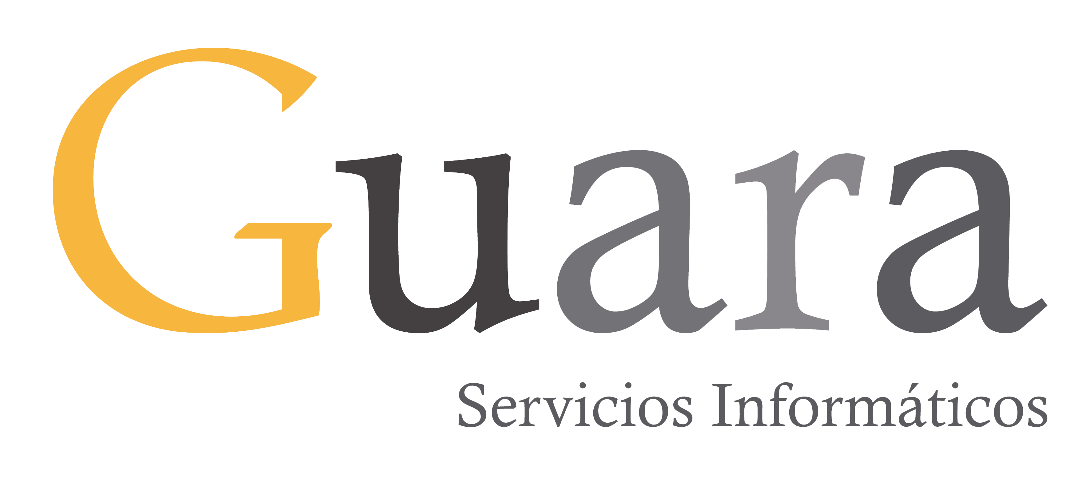 Soporte Mantenimiento Guara